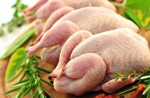 گرفتاری ارزی گریبان قیمت مرغ را گرفت