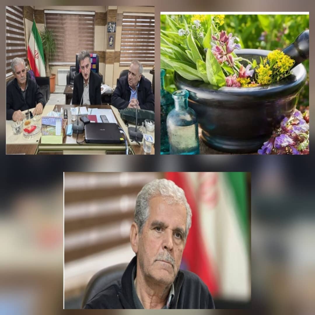 دیدار فرماندار با رئیس اتحادیه انجمن های علمی گیاهان دارویی دیدار فرماندار با رئیس اتحادیه انجمن های علمی گیاهان دارویی
