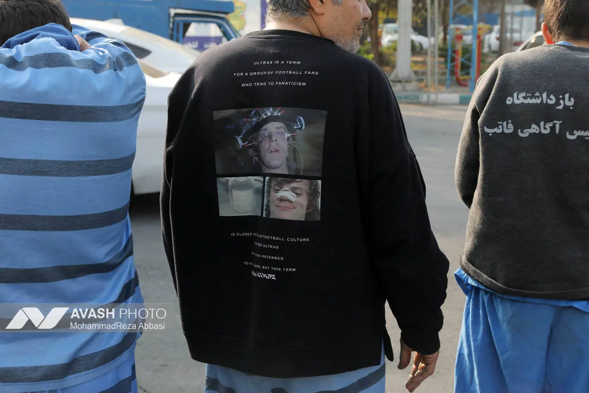 تخممرغ دزدها، موتور دزد میشوند! تخممرغ دزدها، موتور دزد میشوند!