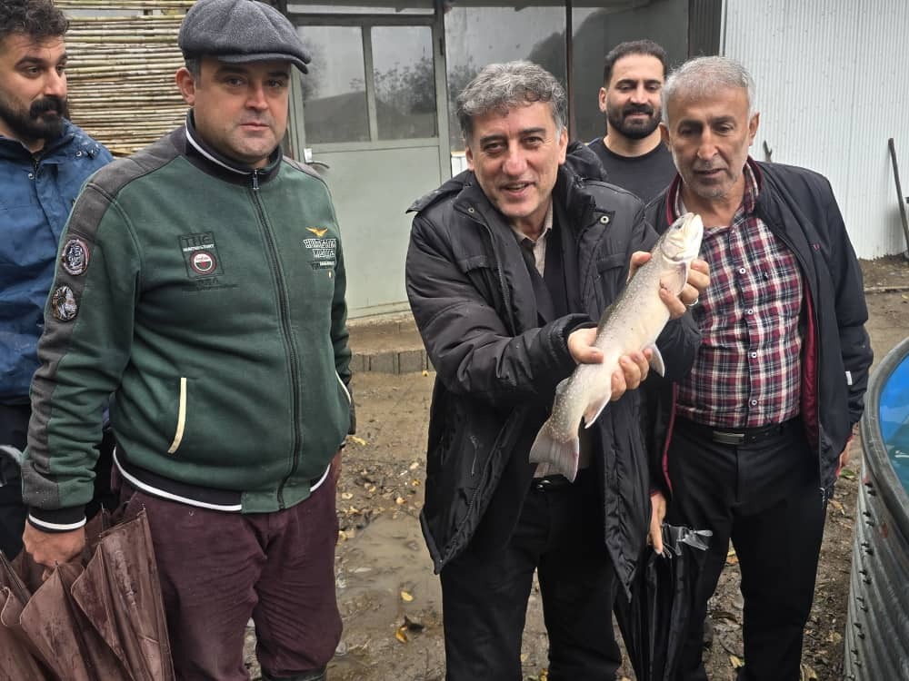 مرادی: تولید ماهیان سردابی و خاویاری رودسر ظرفیت صادراتی بالایی دارد مرادی: تولید ماهیان سردابی و خاویاری رودسر ظرفیت صادراتی بالایی دارد