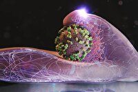 ورود ویروس آنفلوانزا به سلول انسان را زنده تماشا کنید