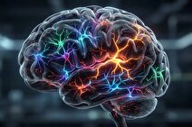 درمان افسردگی با قارچ جادویی