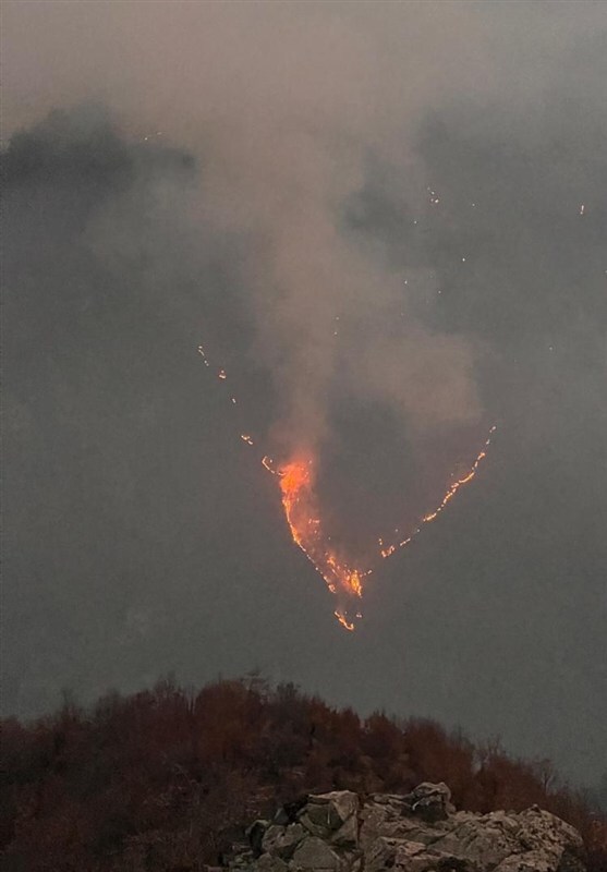 هیرکانی با تن زخمی دارد نفس می‌کشد