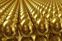 مگر مرغ‌ها تخم طلا می‌کنند!