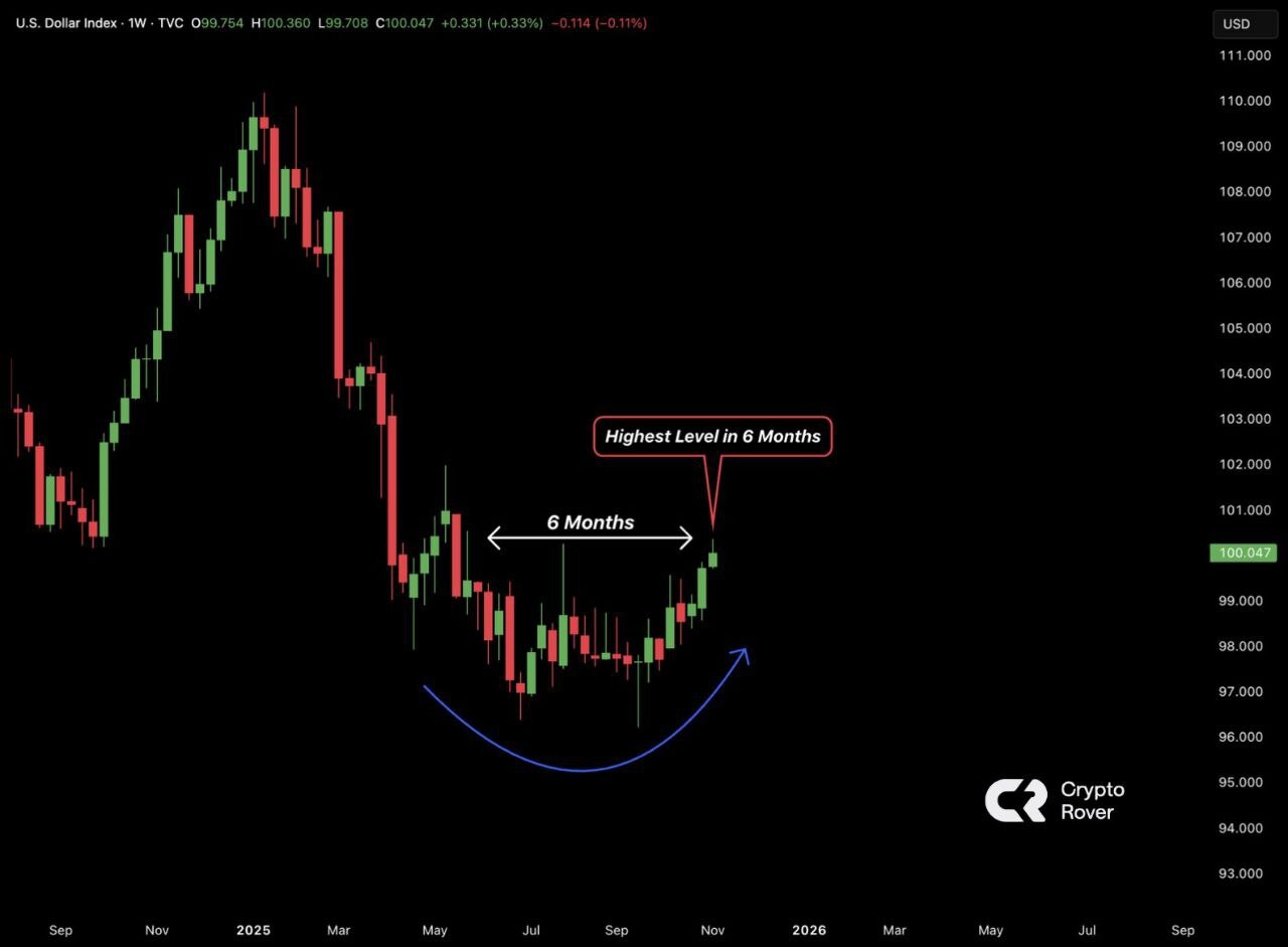 دلار از پیله ۱۱۳ بیرون آمد