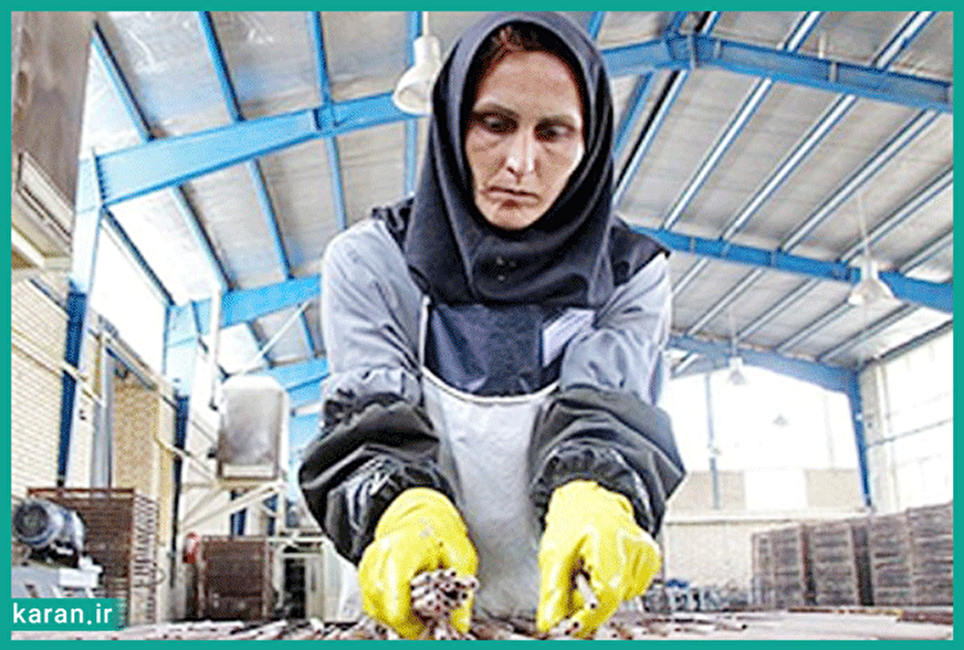 کارگر ایرانی چند کیلو گوشت می‌تواند بخرد؟ وقتی حاشیه خلیج فارس جلو می‌زند