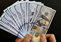 تشریح ریشه‌های جهش ارزی