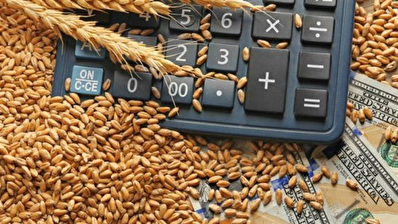 قاچاق گندم ایرانی به عراق