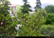 AQI تهران چند!؟