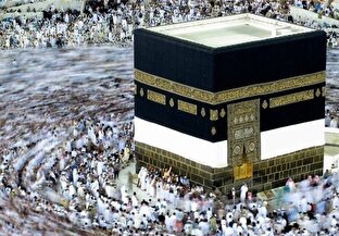 آخرین آمار زائران سرزمین وحی