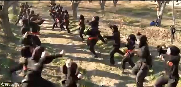 ninja zan iran3