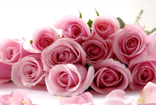 gol rose