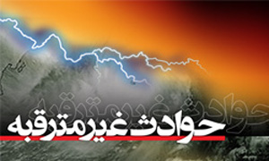 hawades tabiei