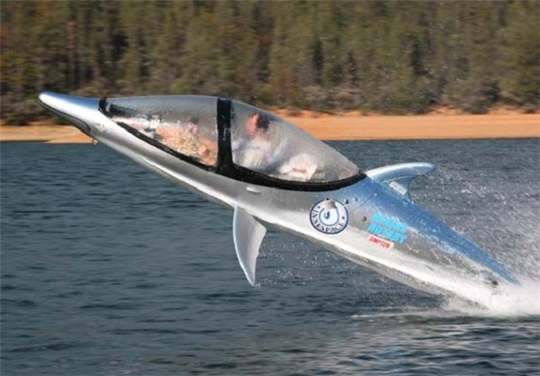 dolphin savari2