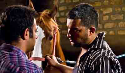 film enteh khiaban8