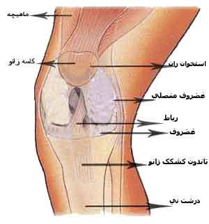 ostekhan ran