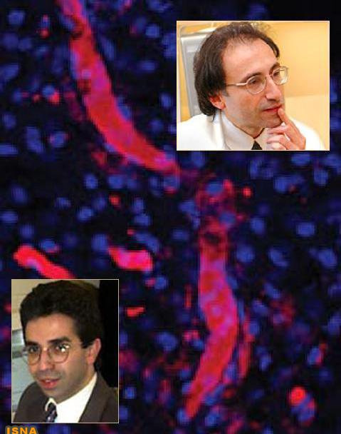 doctor rafiei ragkhooni