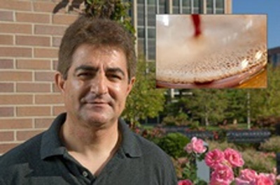 kazem kashefi