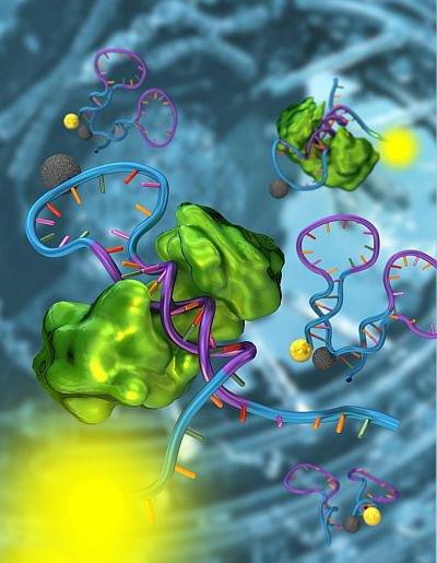 saratan DNA