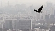 اصفهان نصف جهانش، در وضعیت بنفش قرار دارد