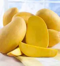 غذاهای معجزه گر