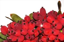 زرشک محصولی بی نظیر برای رفع اختلالات کبدی