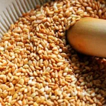 مواد کلسیم‌دار بخورید، لاغر بمانید