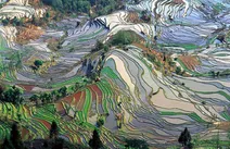 10 تصویر هوایی برتر دنیا