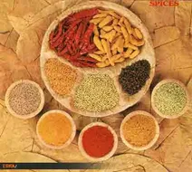 رژیم لاغری با ادویه جات
