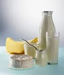 تایید سه کارخانه لبنیات ایرانی برای صادرات به روسیه