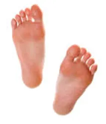 وضعیت سلامت 