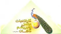 «مخمل کاشان» را تعطیل می‌کنند تا اتاق ایران و چین رونق بگیرد
