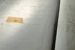 مشهورترین باگ کامپیوتری واقعا یک حشره بود