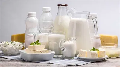 وقتی گاوها به صدا در می‌آیند