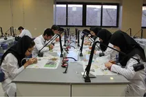 از آموزش و پژوهش تا نوآوری؛ مسیر جهاددانشگاهی برای ارتقای سلامت جامعه