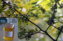 درباره خواص روغن 