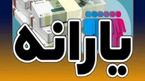 یارانه ویژه کدام است