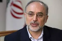 سهم 8 تا 15 درصدی انرژی هسته ای در سبد برق کشور