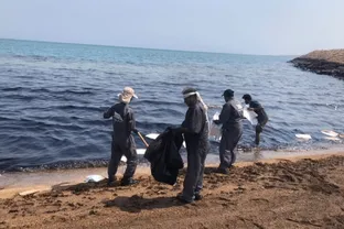 منشأ آلودگی نفتی سواحل قشم