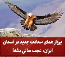 پرواز همای سعادت جدید در آسمان ایران,عجب سالی بشه!