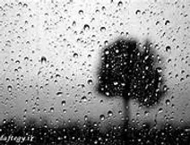 دعوای شاعر و غیرشاعر