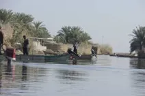 دستکاری در تالاب شادگان به نام اشتغال‌زایی