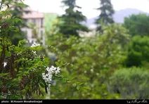 AQI تهران چند!؟