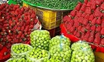 قیمت نجومی توت فرنگی