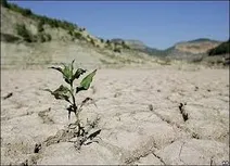 بارش‌ها جبران مافات خشکسالی نکرده است
