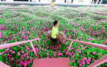 دیدنی ها *بزرگترین استخر توپ جهان در هتلی