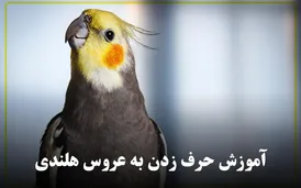 آموزش حرف زدن به عروس هلندی