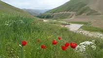 روستای آبخور دیار آفتاب