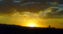 چربی‌سوز مجانی که تاکنون نمی‌شناختید