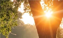 اثرات نور صبحگاهی بر بدن انسان